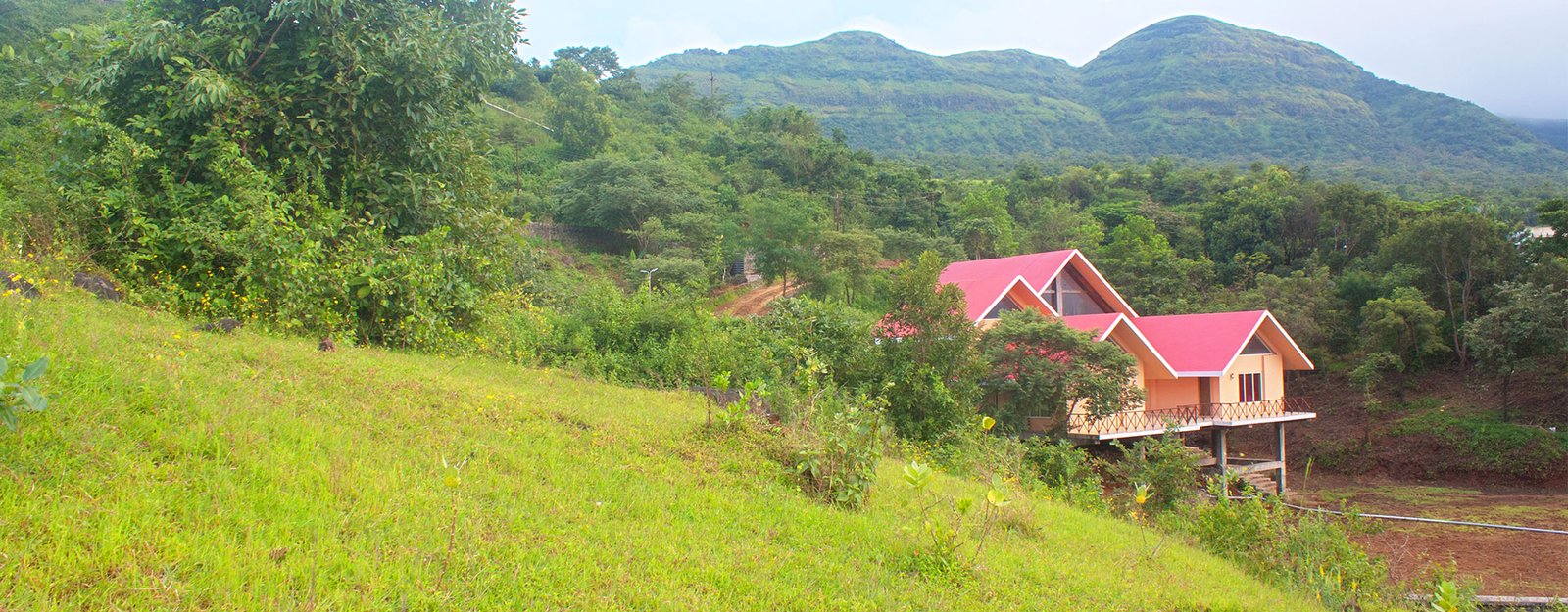belleza bungalow